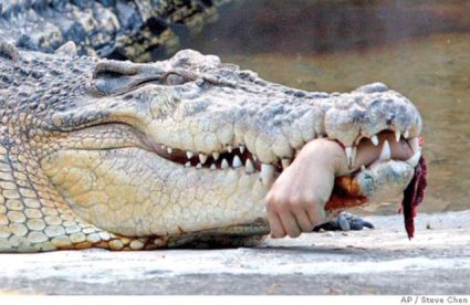 croc attack